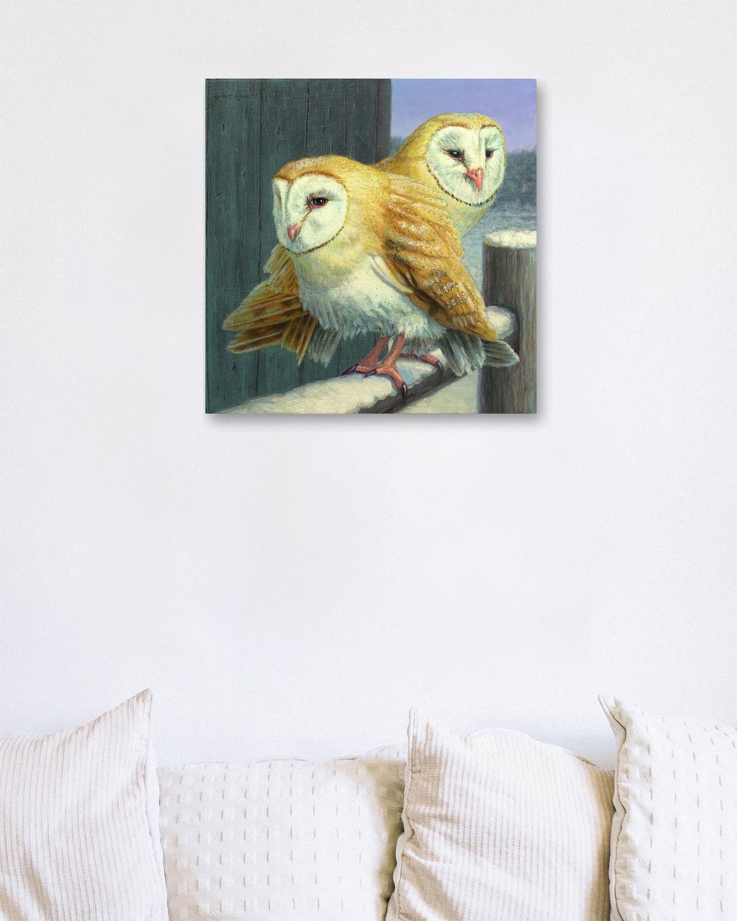 Barn Owl Couple - @chusna