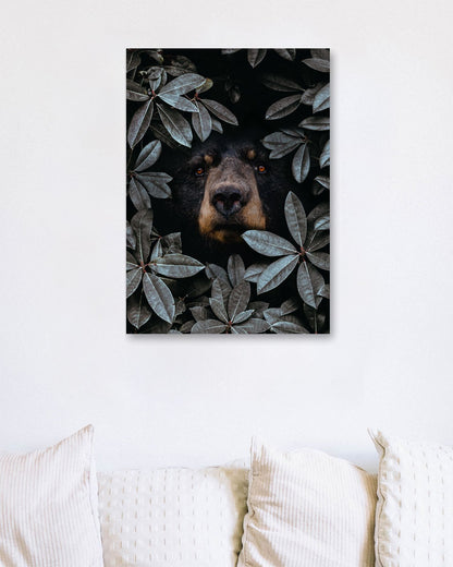 Animal Bear - @GreyArt