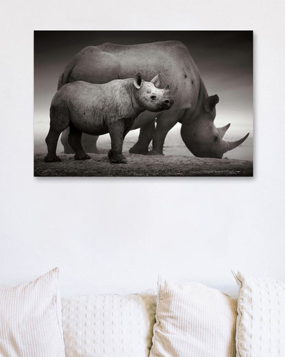 Black Rhinoceros baby and cow - @chusna