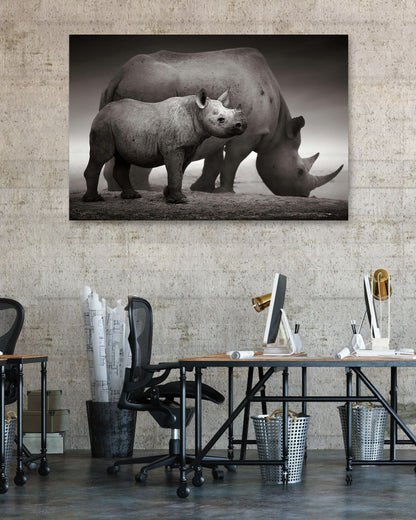 Black Rhinoceros baby and cow - @chusna