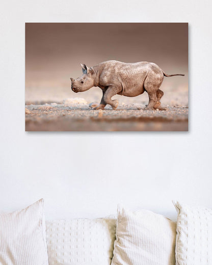 Black Rhinoceros baby running - @chusna