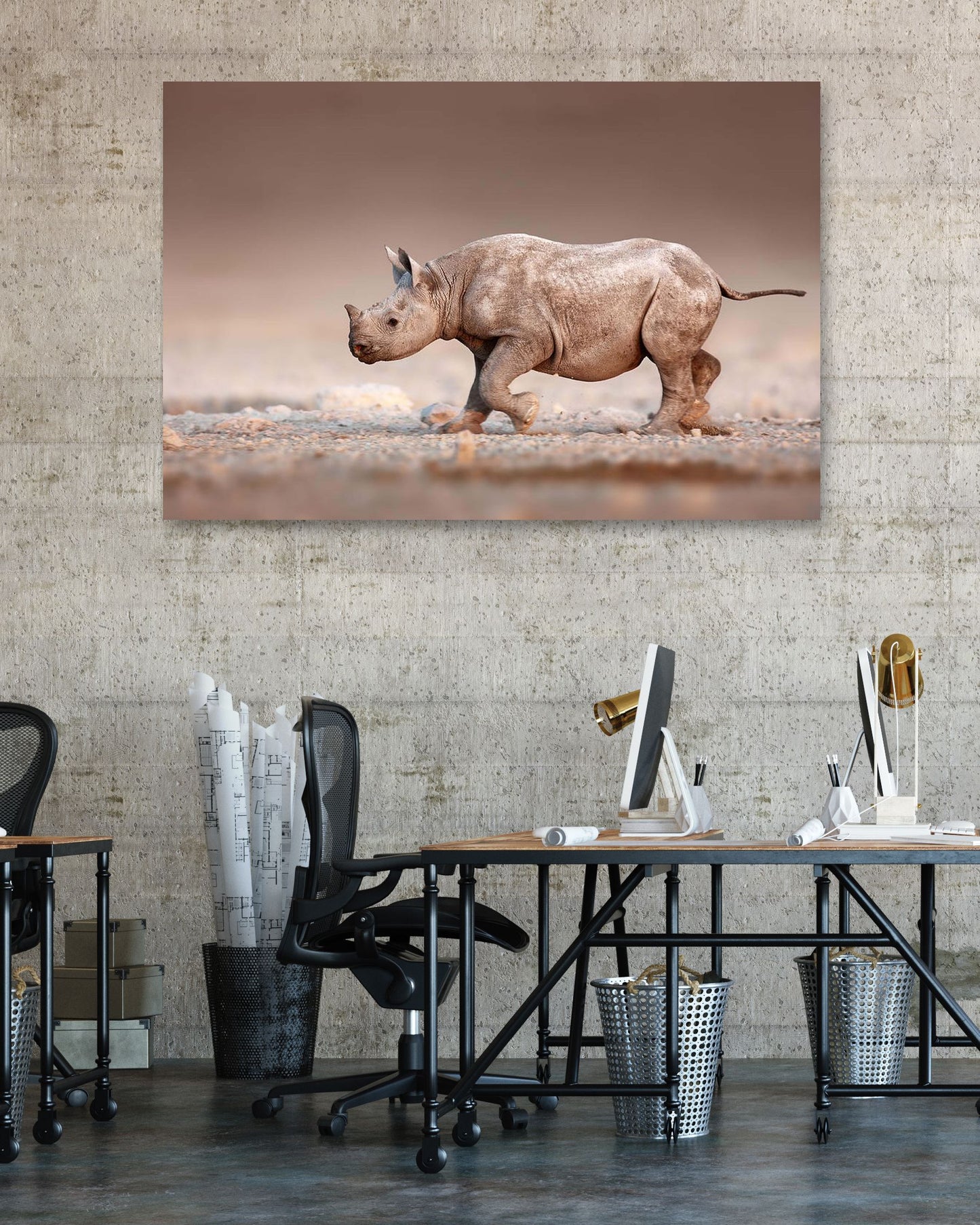 Black Rhinoceros baby running - @chusna