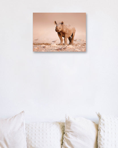 Black Rhinoceros baby - @chusna