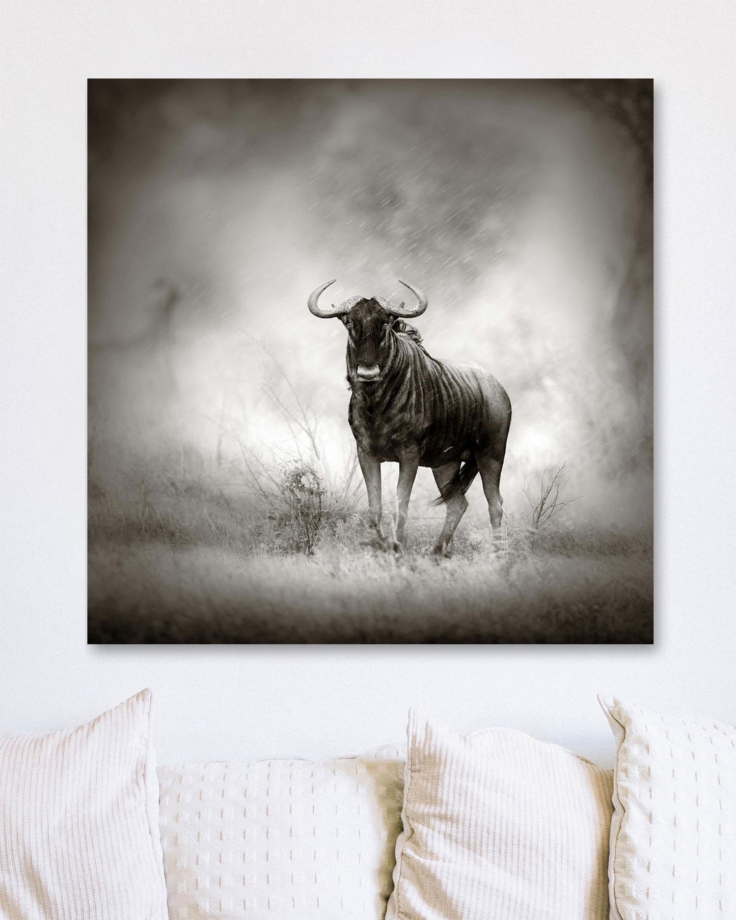 Blue Wildebeest in rainstorm - @chusna