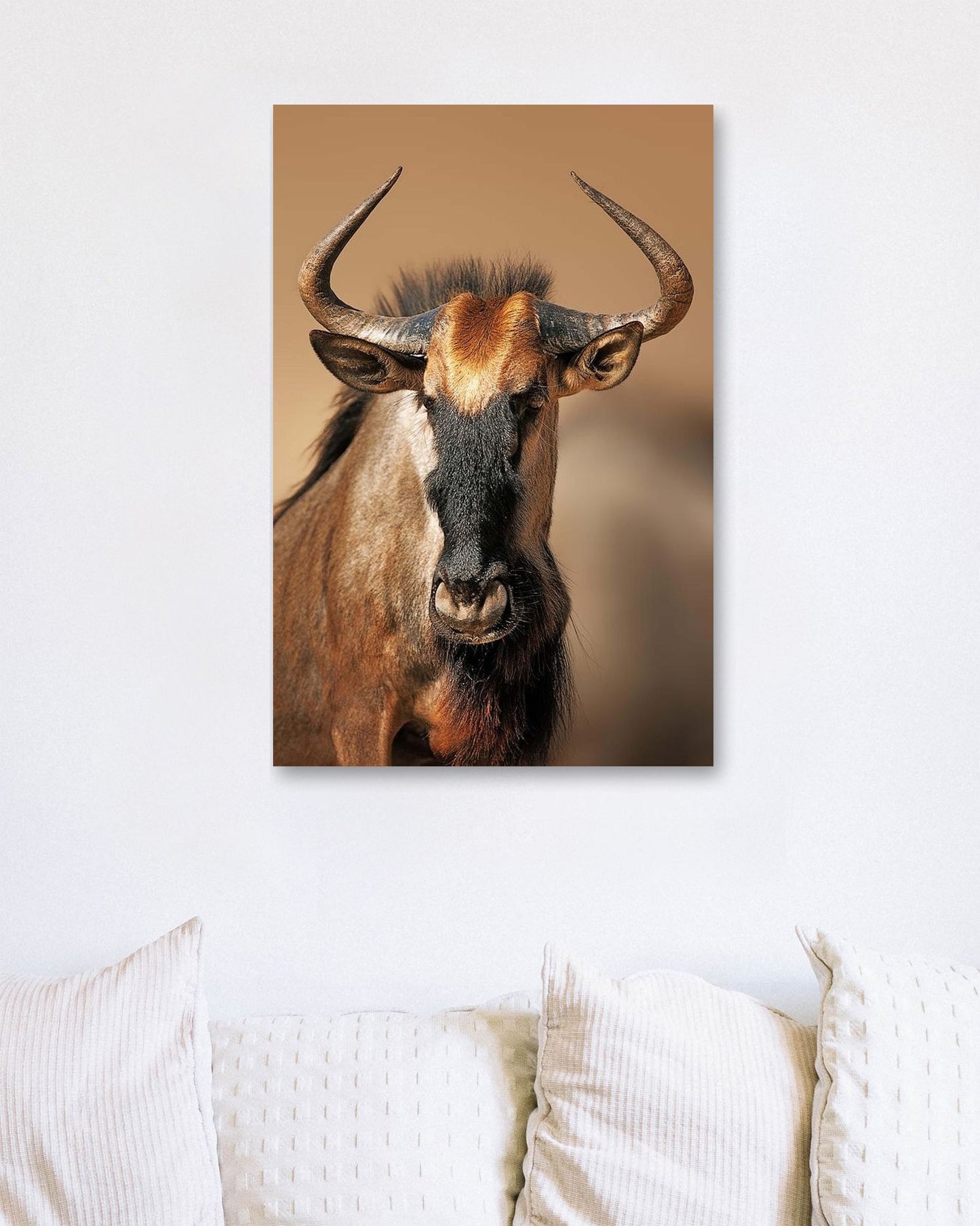 Blue wildebeest portrait - @chusna