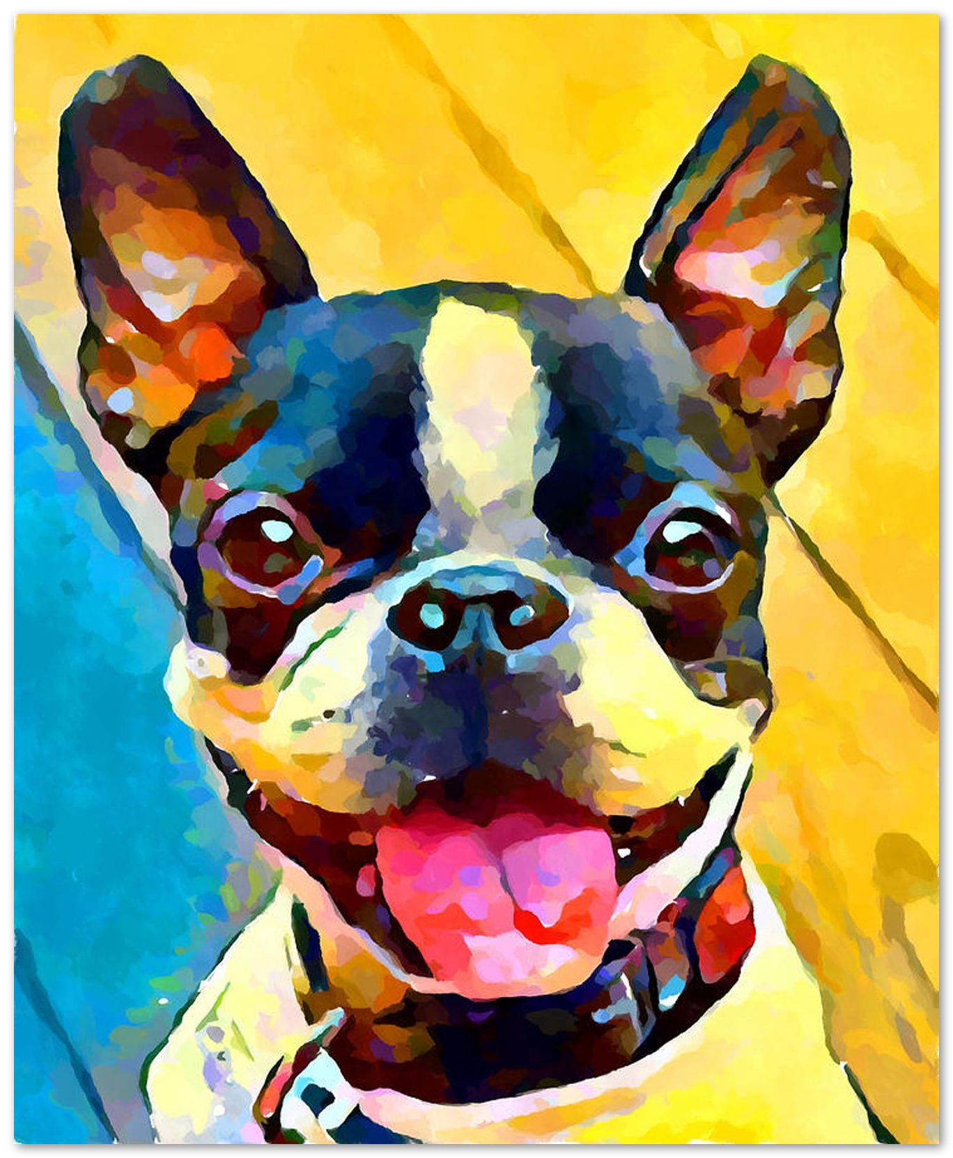 Boston Terrier - @chusna