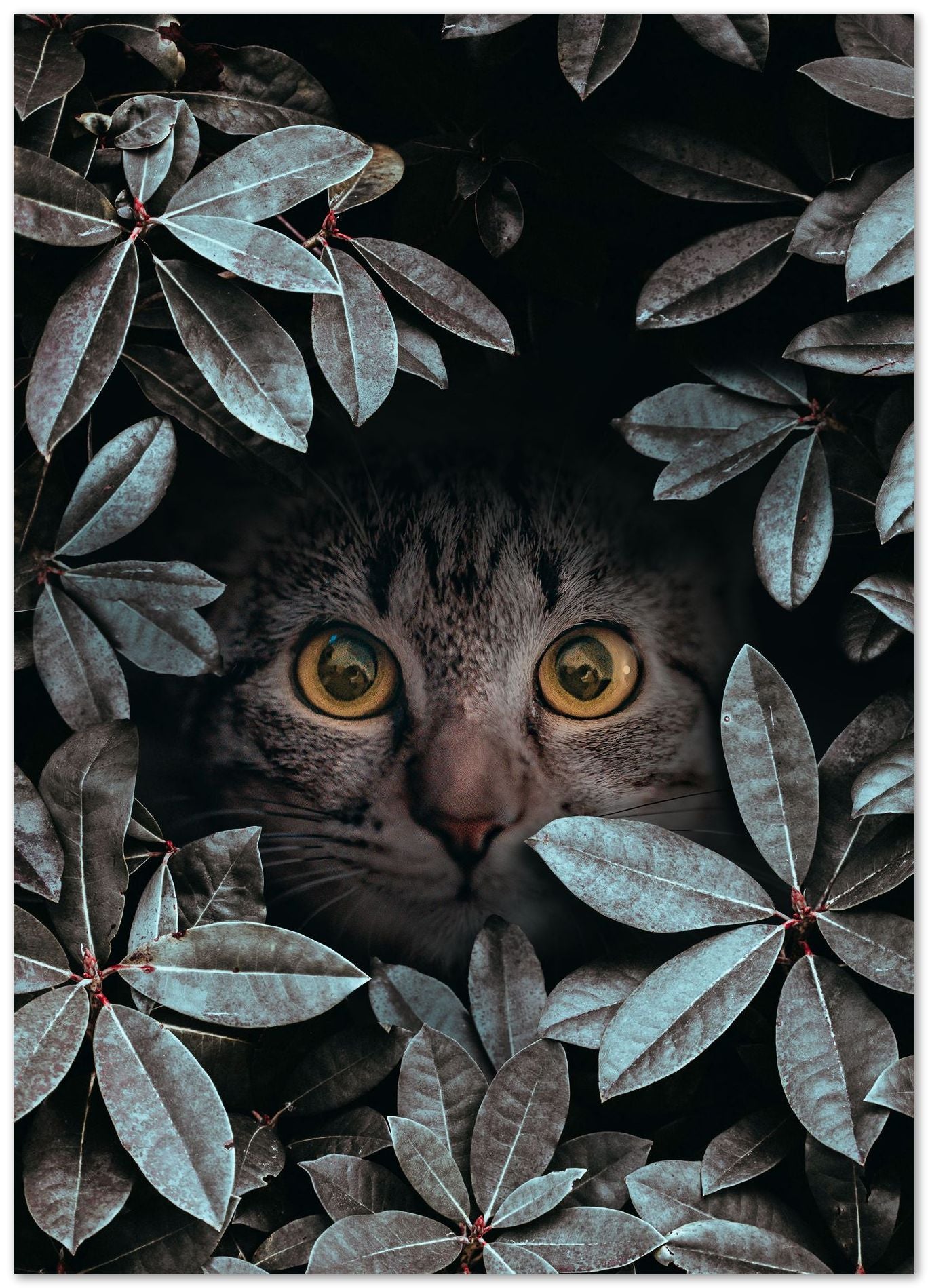 Cat 3 - @GreyArt