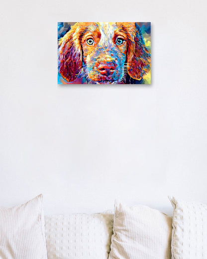 Brittany Spaniel - @chusna