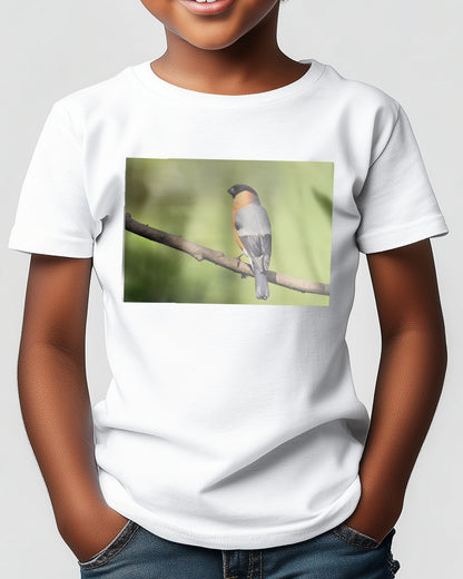 Bullfinch - @chusna