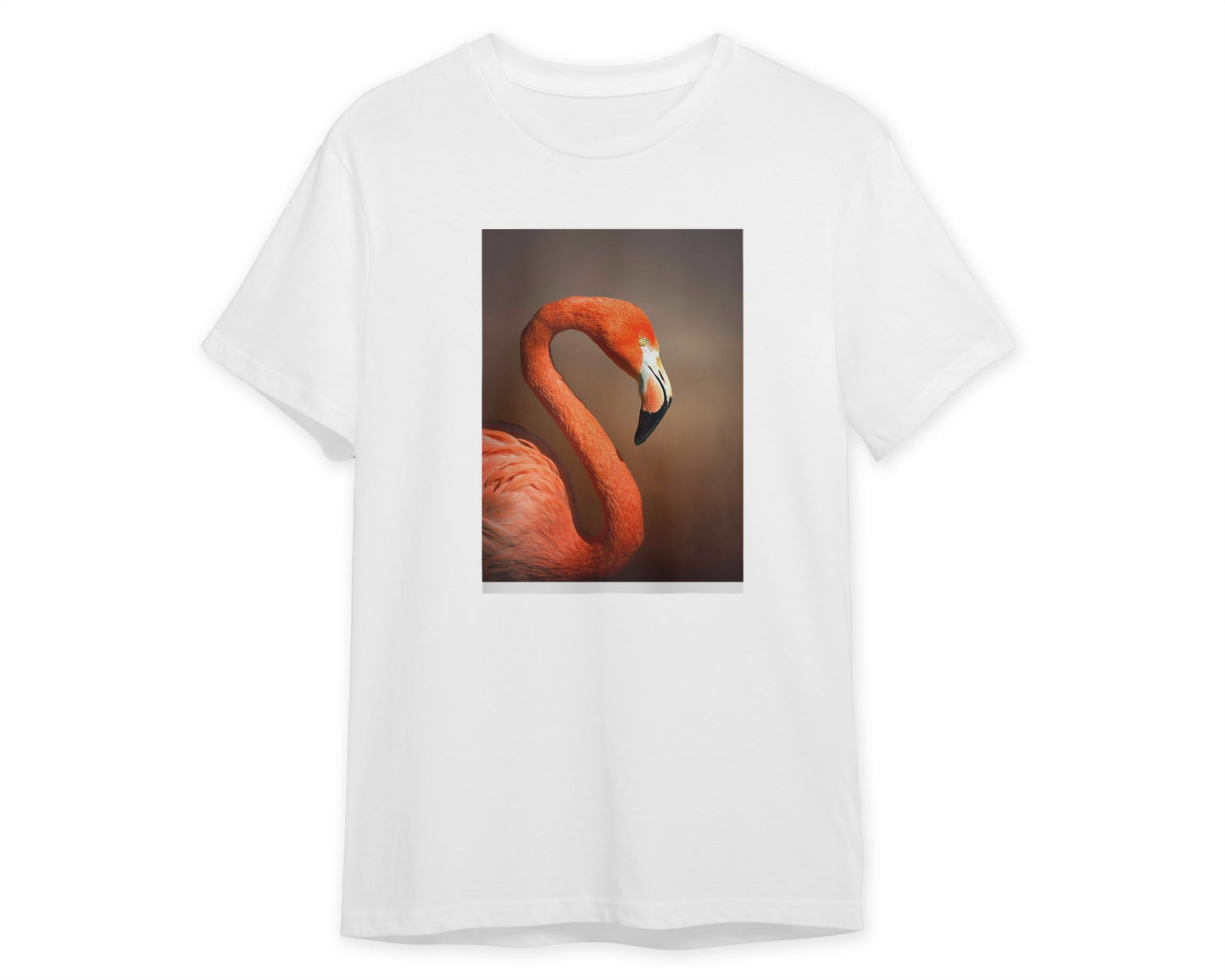 Caribean flamingo  - @chusna