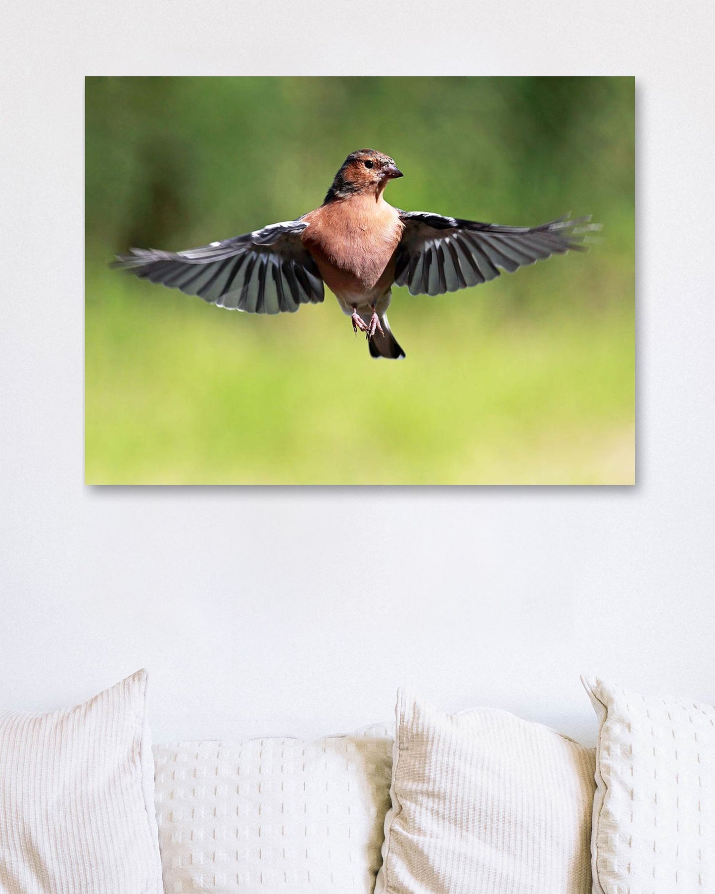 Chaffinch in flight 1 - @chusna