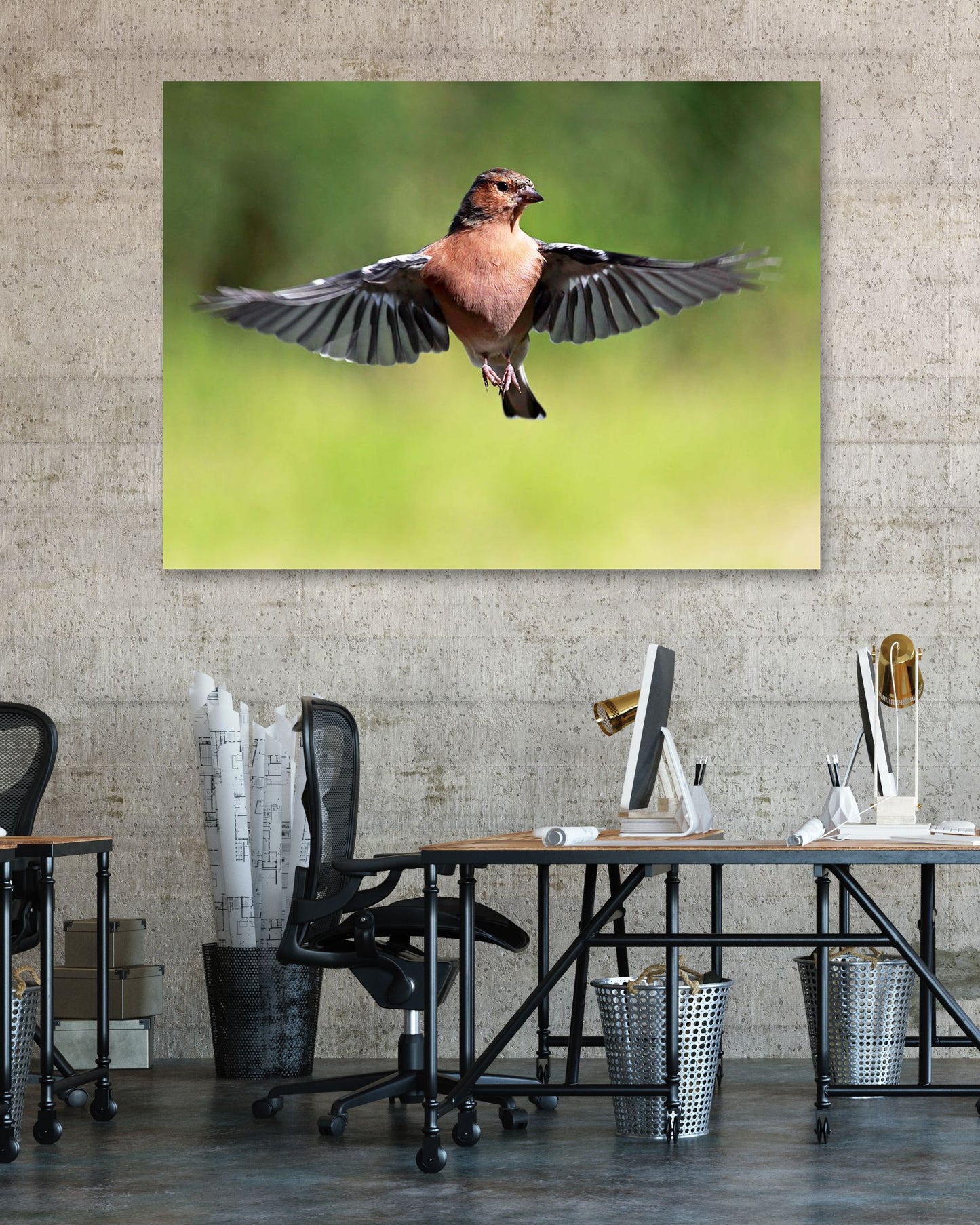 Chaffinch in flight 1 - @chusna