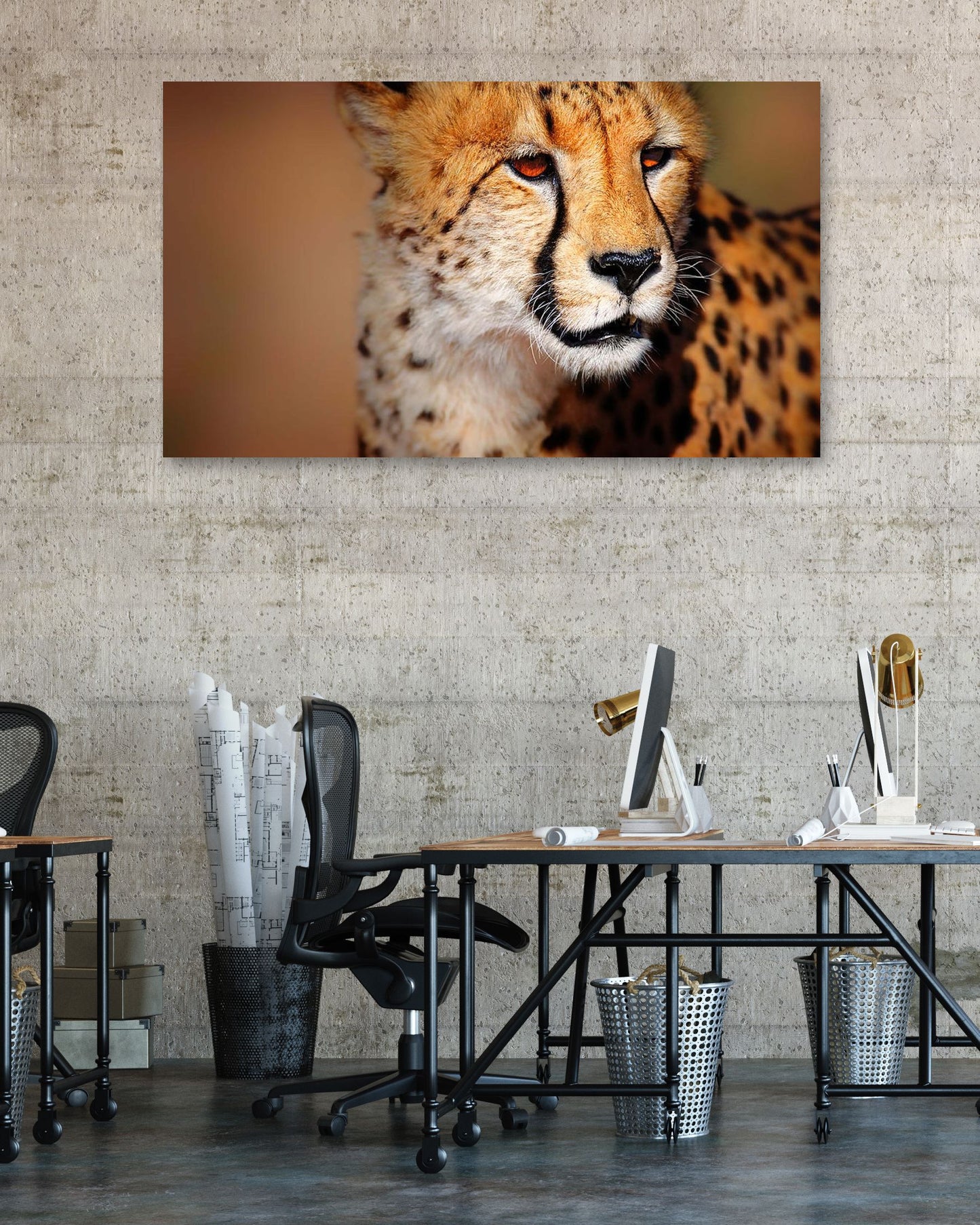 Cheetah portrait - @chusna