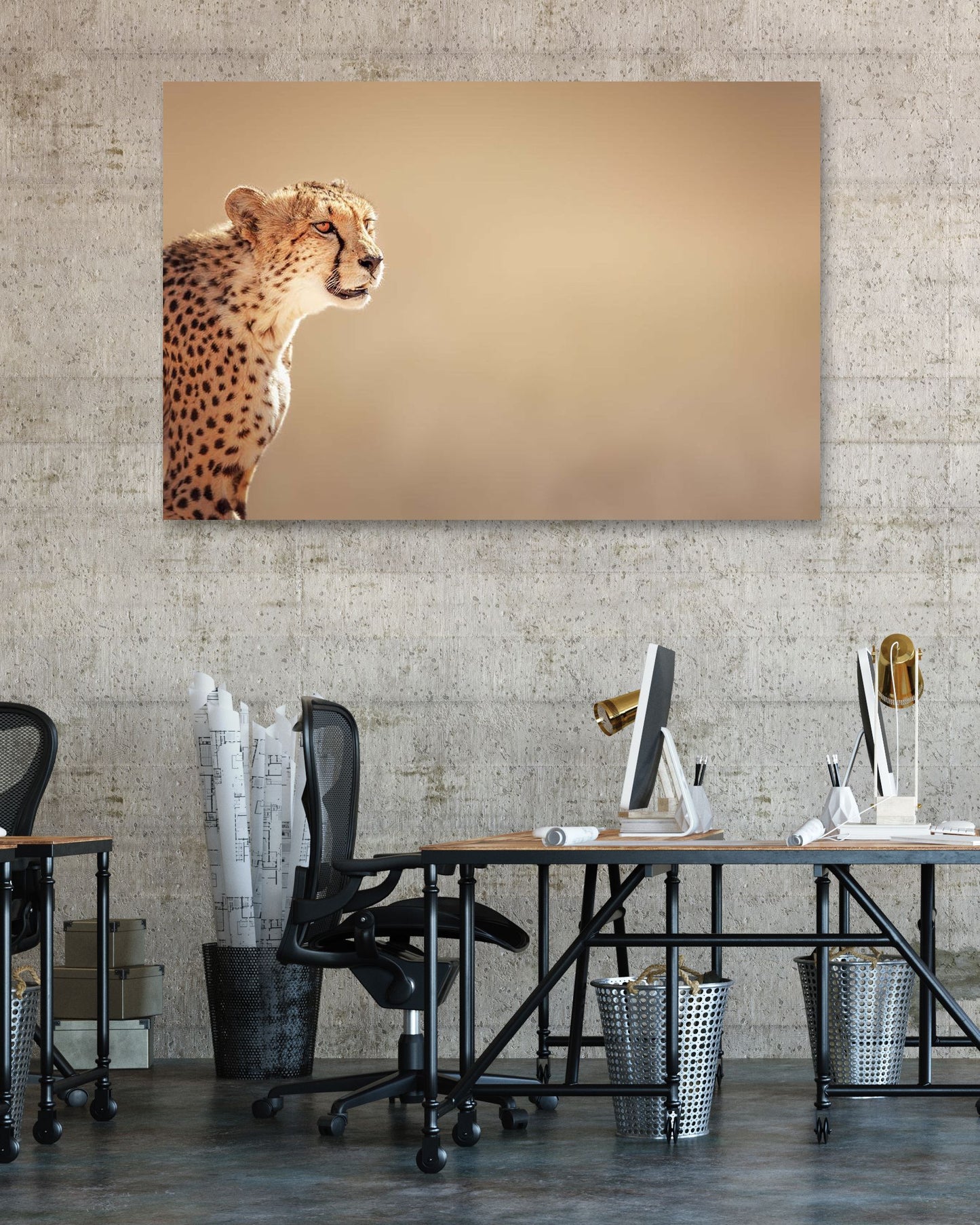 Cheetah portrait 1 - @chusna
