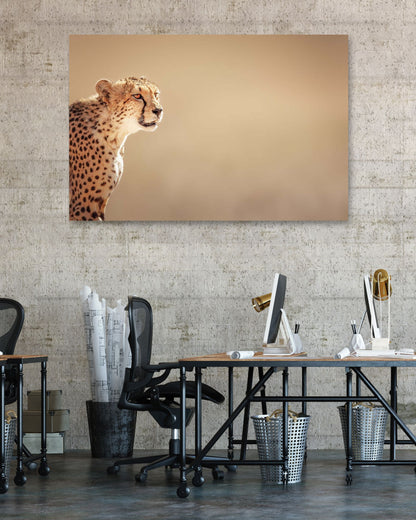 Cheetah portrait 1 - @chusna