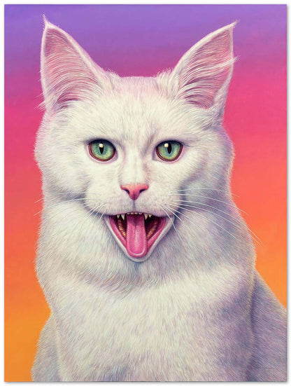 Crazy White Cat - @chusna