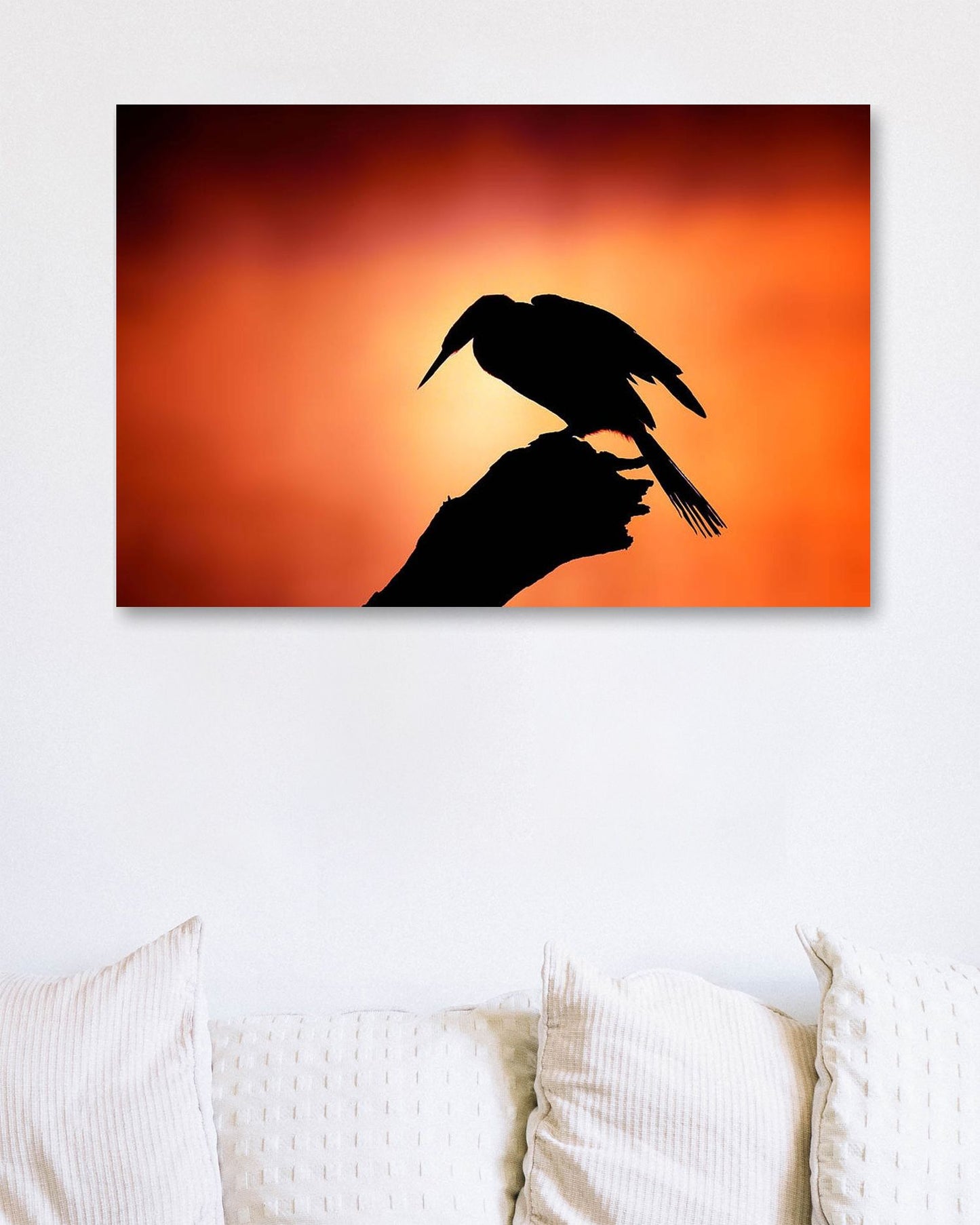 Darter silhouette with misty sunrise - @chusna