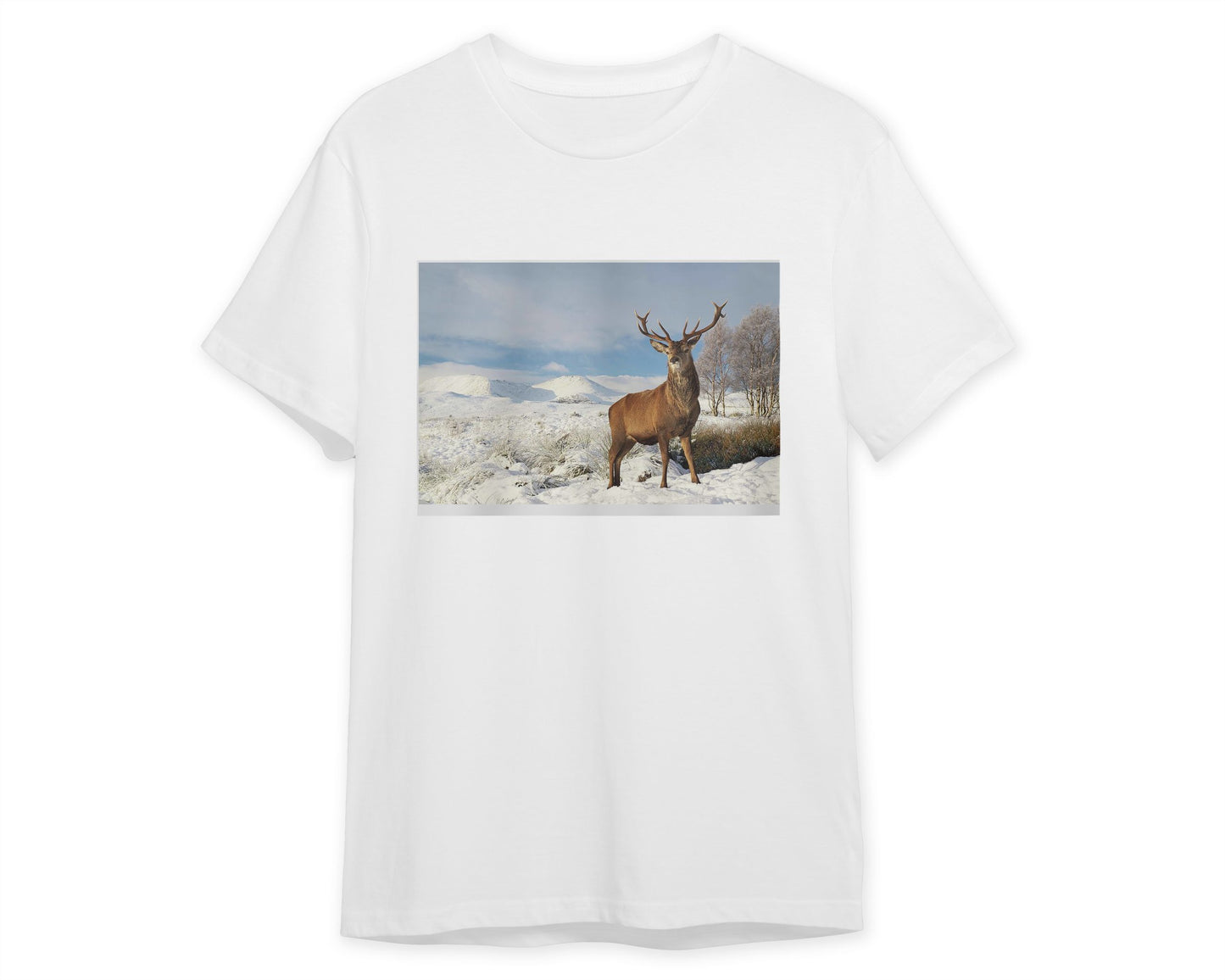 Deer in the snow - @chusna