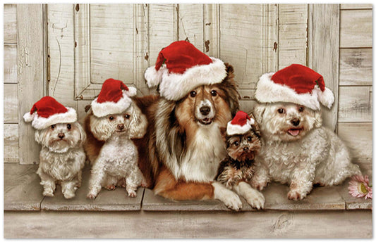 Dogs Christmas - @chusna