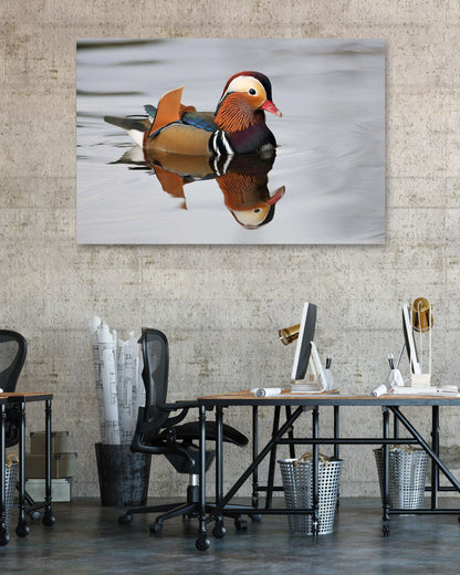 Duck Reflection - @chusna