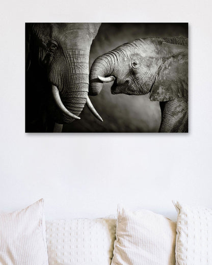 Elephant affectionSmall - @chusna