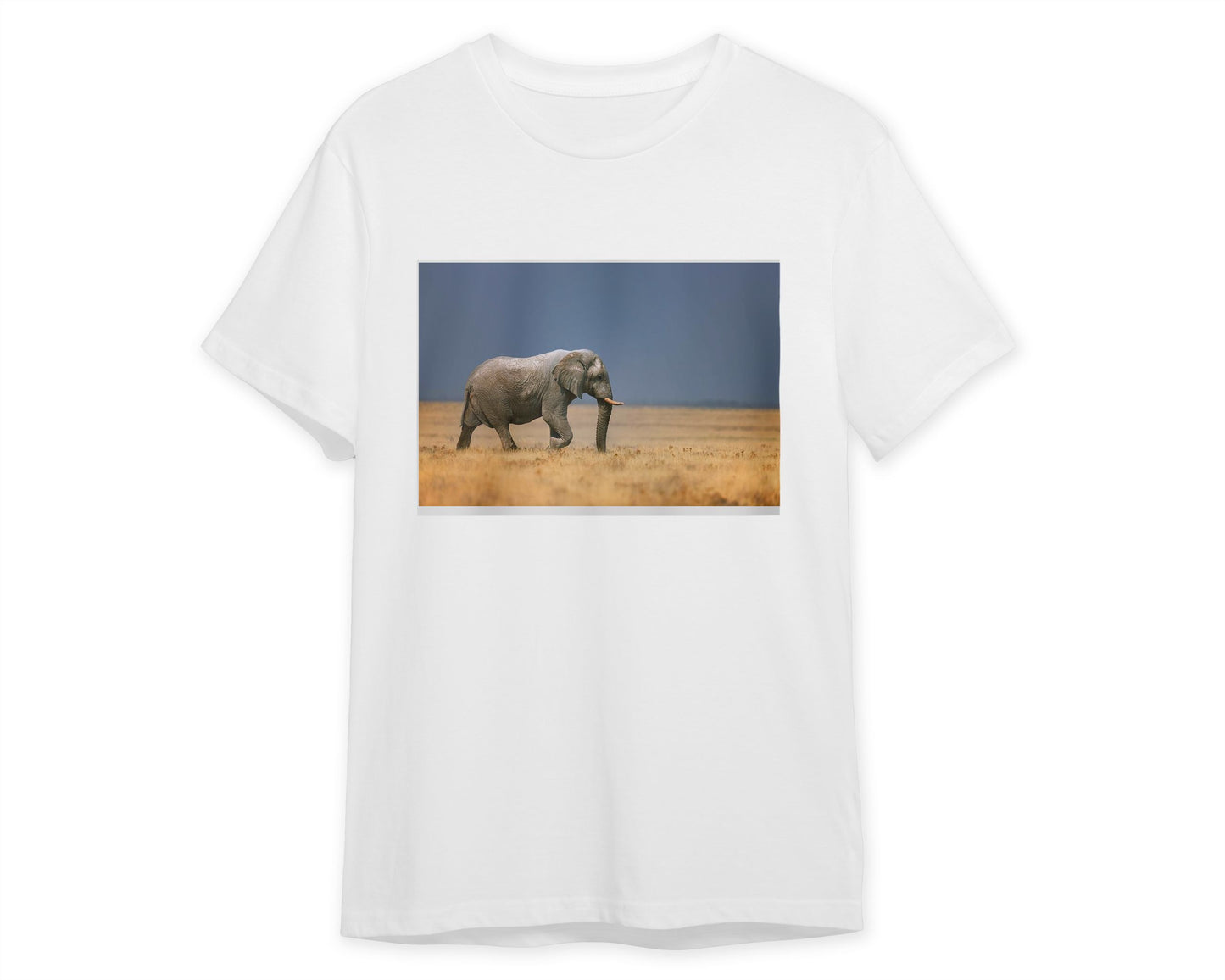 Elephant in grassfield - @chusna