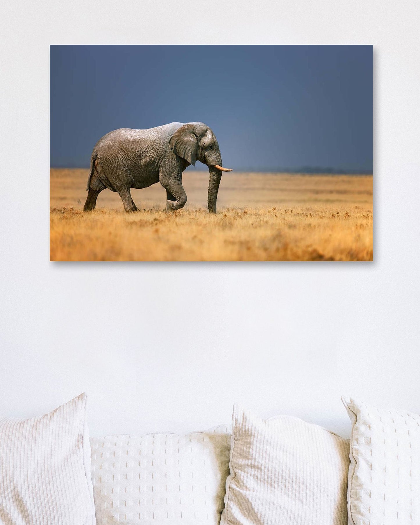 Elephant in grassfield - @chusna