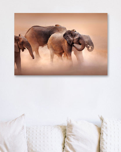 Elephants in dust - @chusna