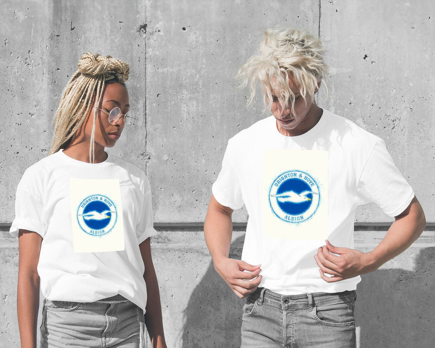 Brighton and hove Albion - @ArtStyle