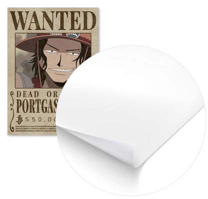 Portgas D Ace One Piece - @Hollycube