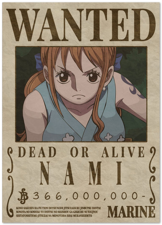 Nami One Piece - @Hollycube