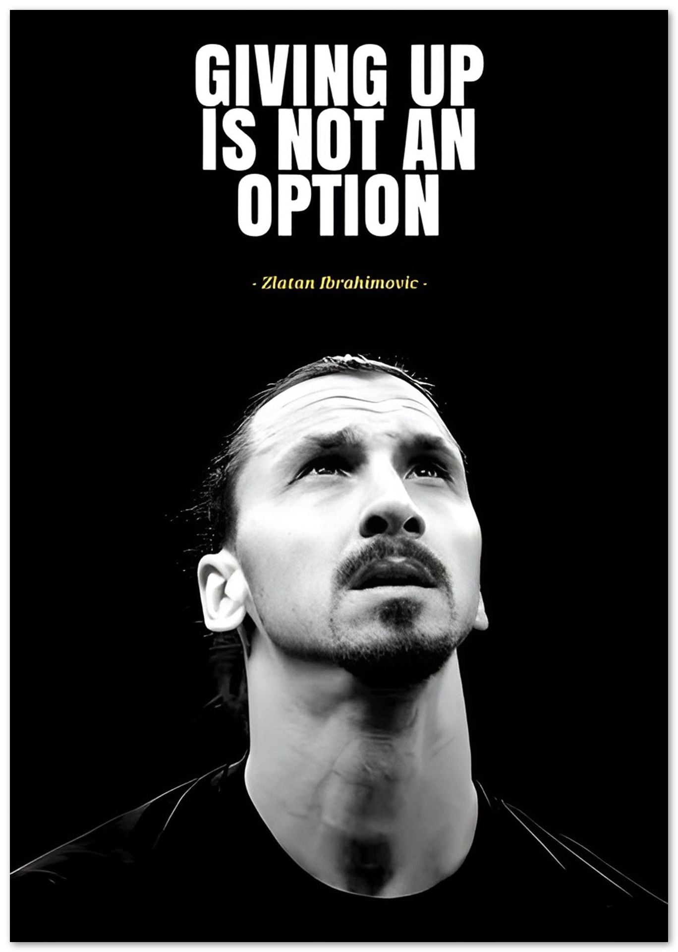 Zlatan IbrahimoviÄ‡ - @GoldLine