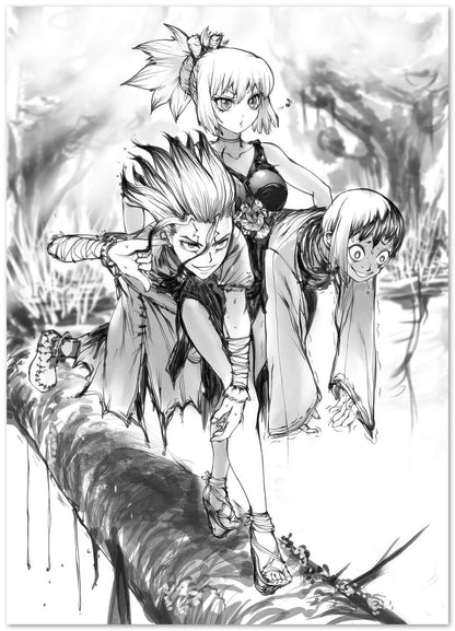 dr stone - @artmboll