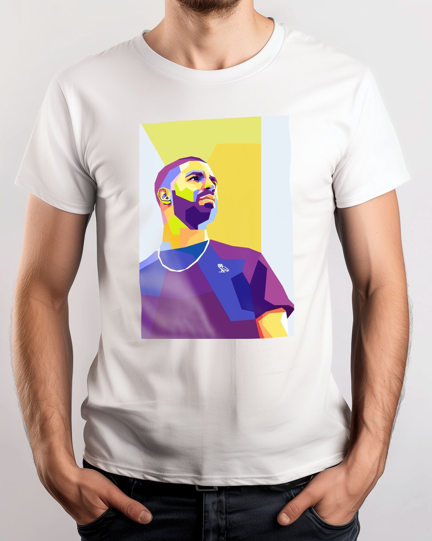 Drake  pop Art - @hikenthree