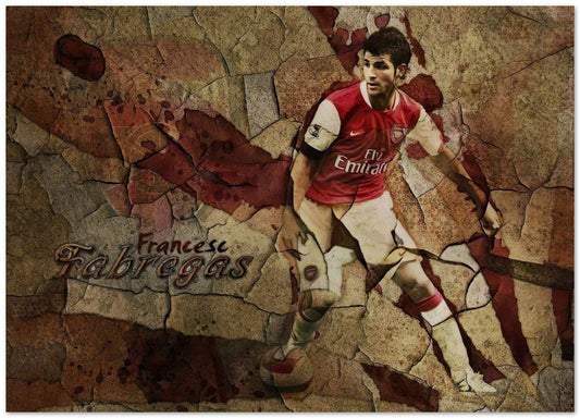 FÃ bregas - @SportDesign