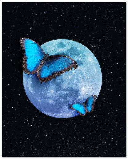 BUTTERFLY MOON - @LFHCS