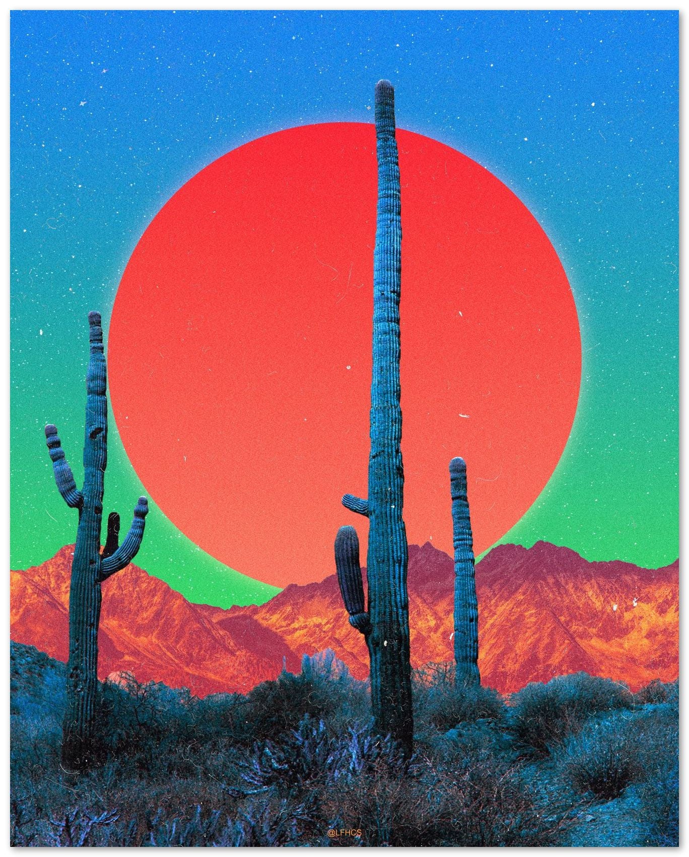 CACTI DREAMS - @LFHCS