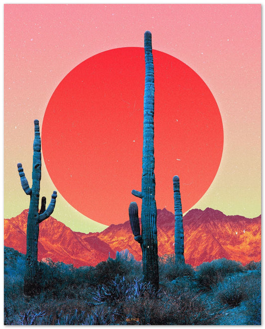 CACTI DREAMS - MORNING  - @LFHCS