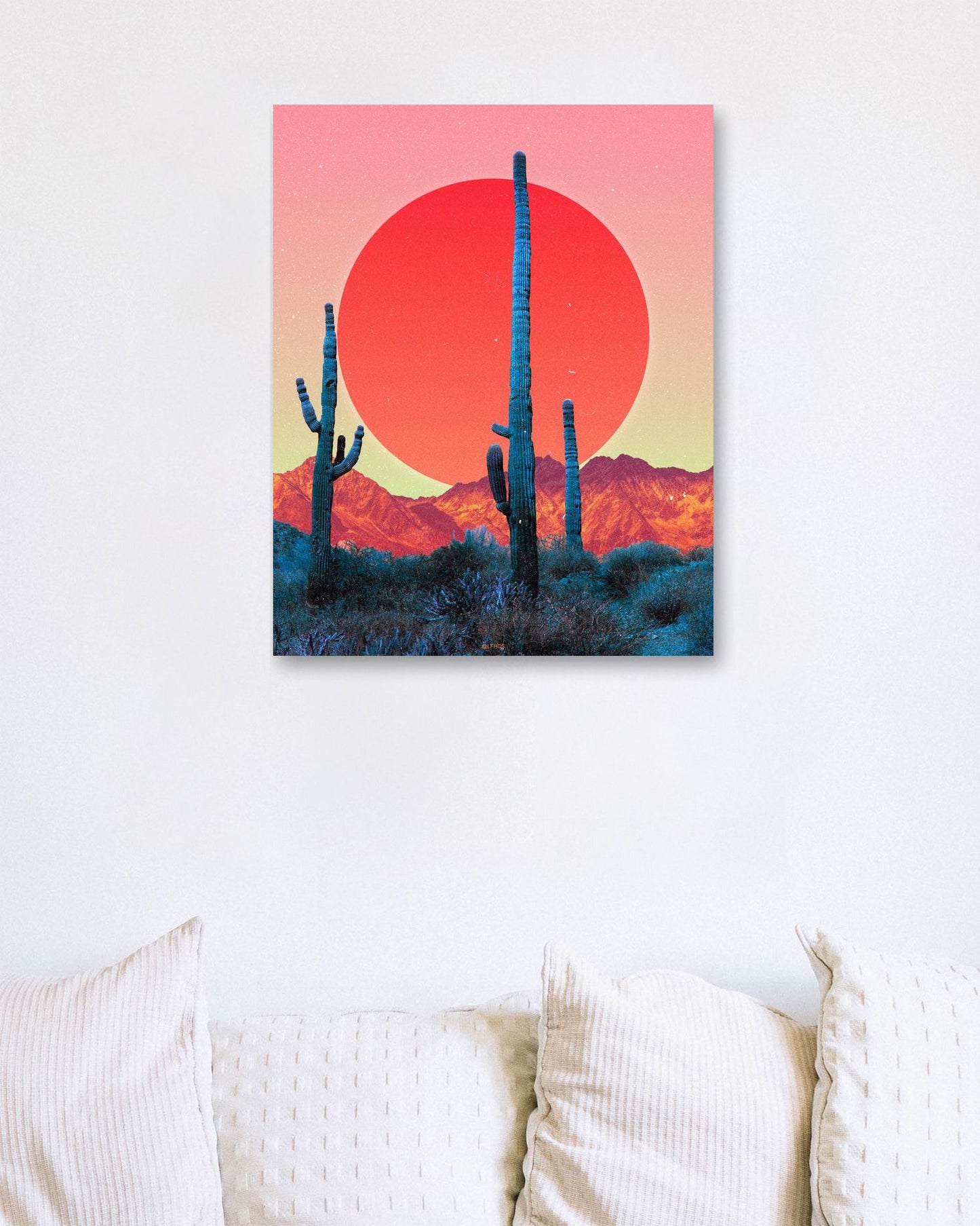 CACTI DREAMS - MORNING  - @LFHCS