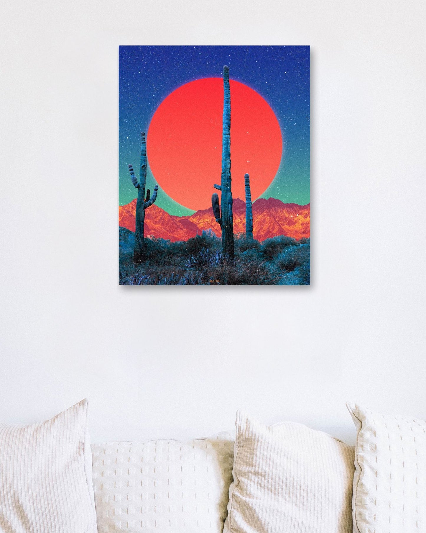 CACTI DREAMS - NIGHT  - @LFHCS