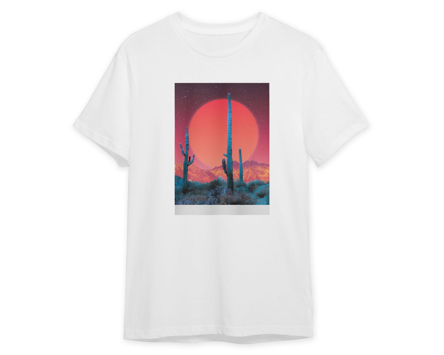 CACTI DREAMS-RED NIGHT Gloomy - @LFHCS