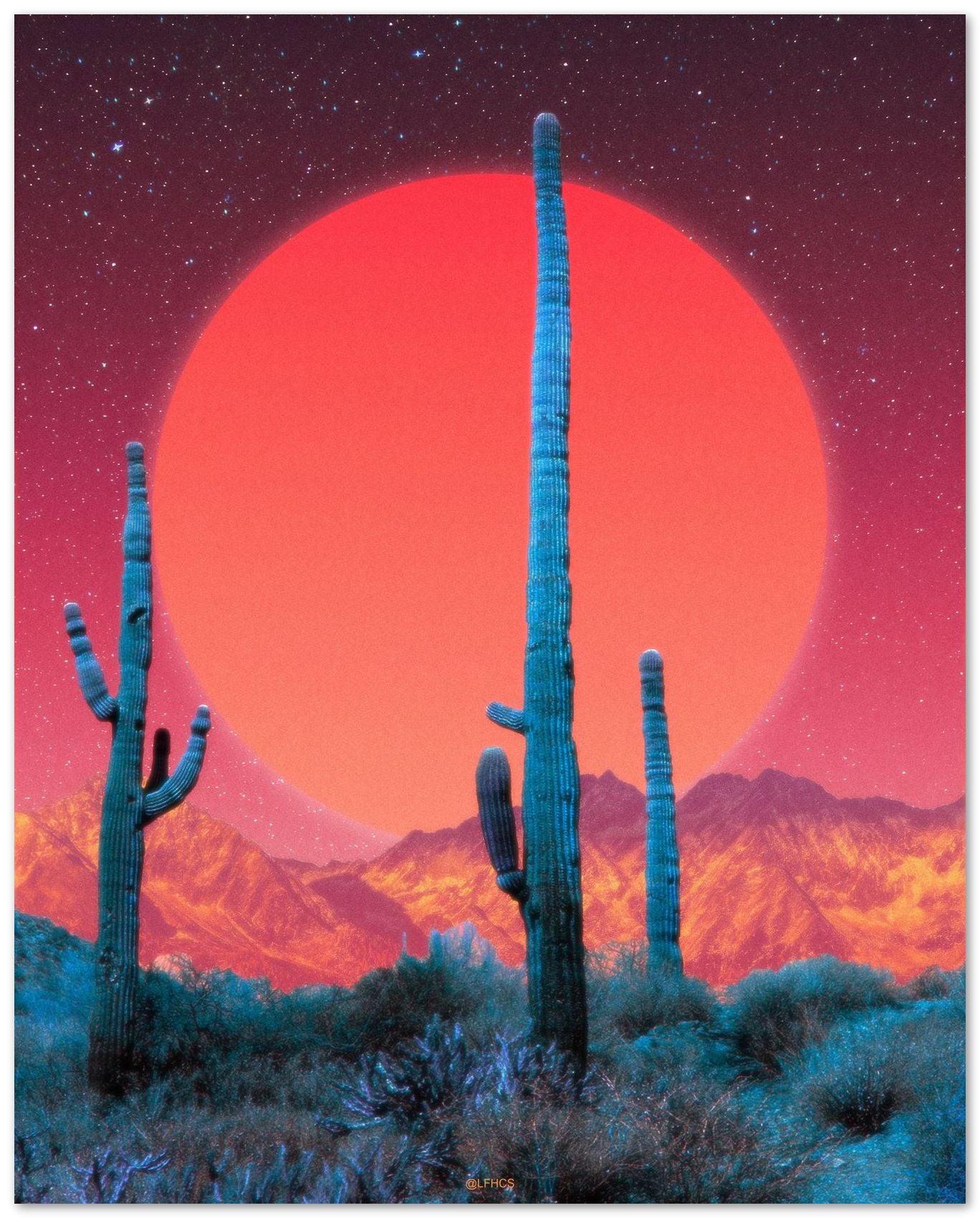 CACTI DREAMS-RED NIGHT Gloomy - @LFHCS