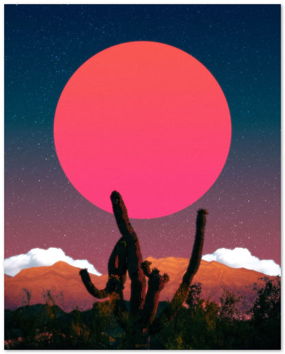 CACTI NIGHT HD - @LFHCS