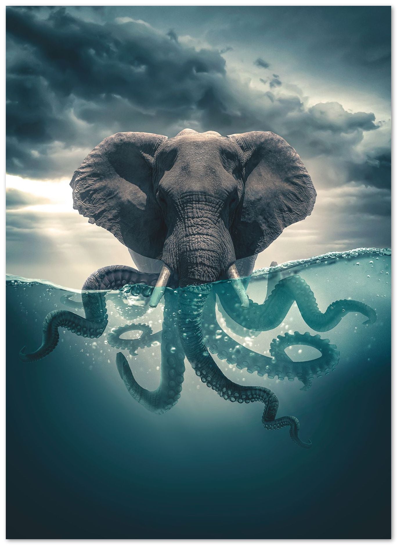 Octophant - @AdamCousins