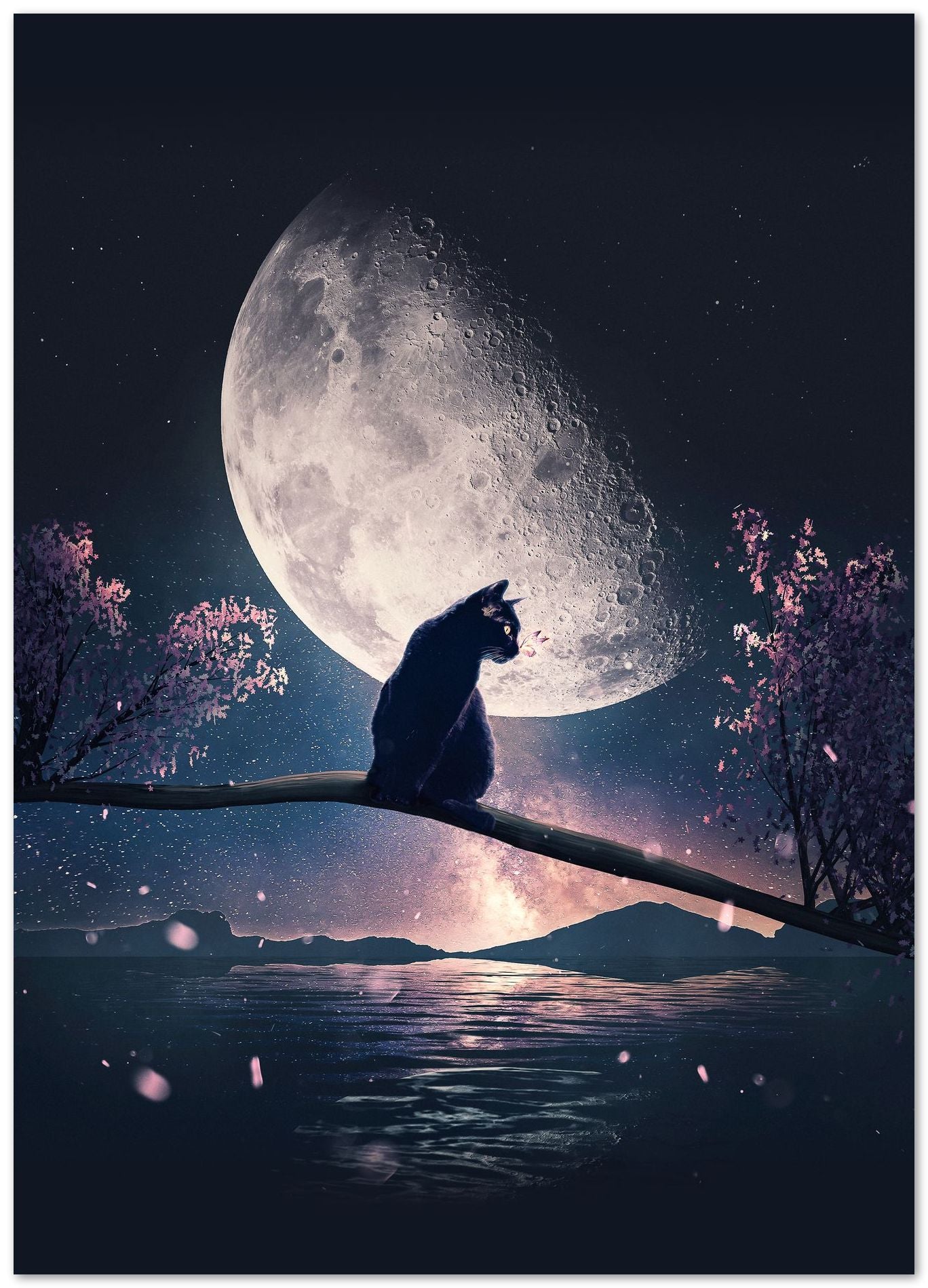 Cat, Stars and Moon - @AdamCousins