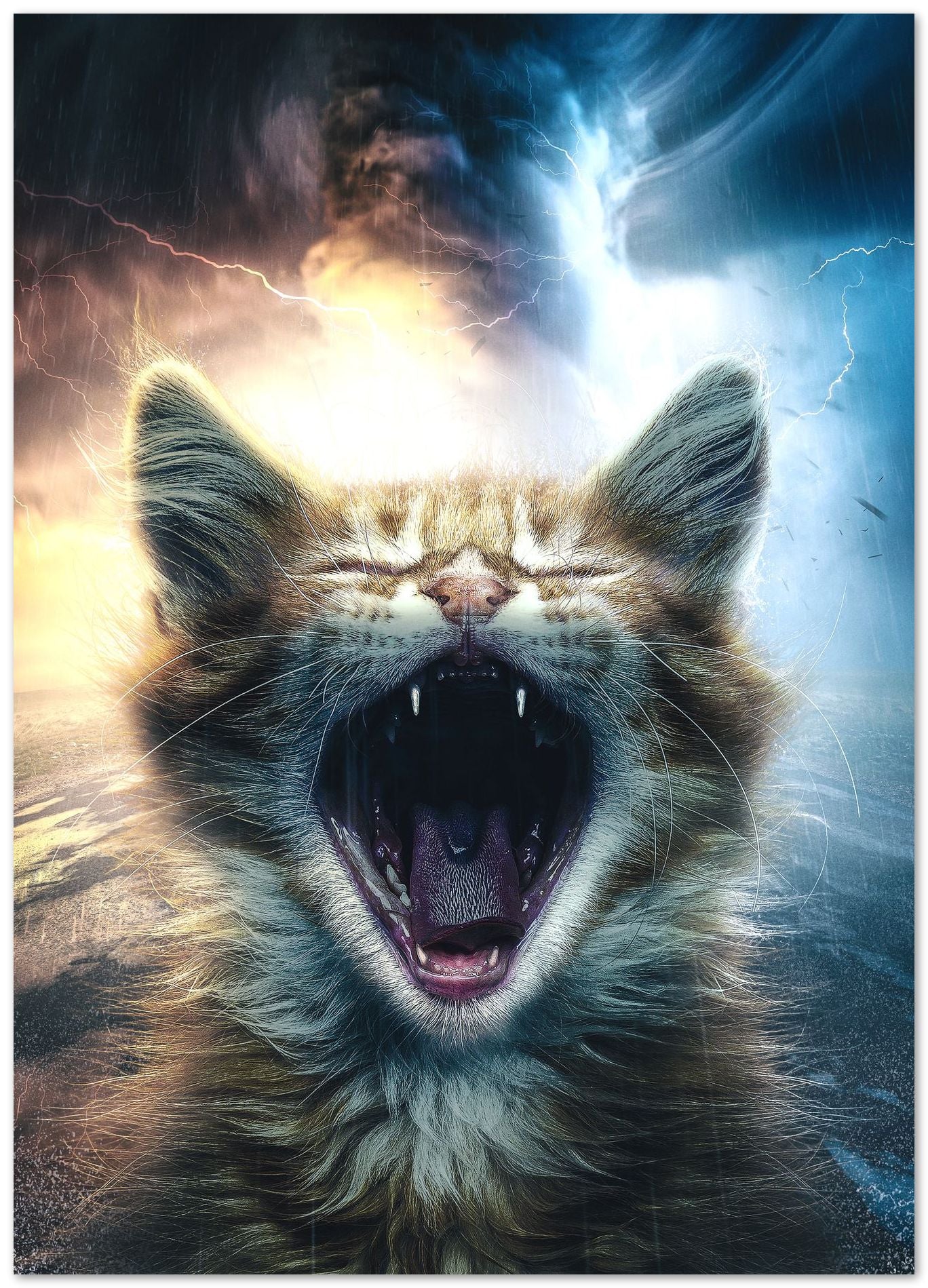 Tiny Roar - @AdamCousins