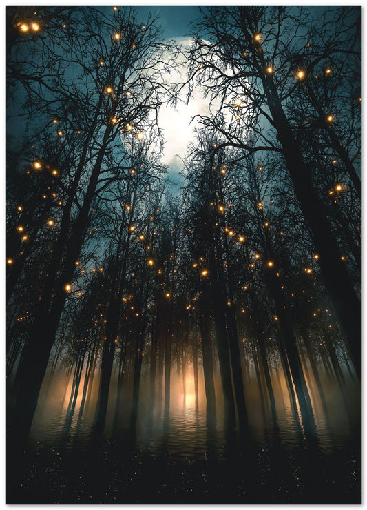 Magical Forest - @AdamCousins