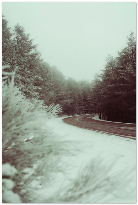 Snow Road - @javierbago