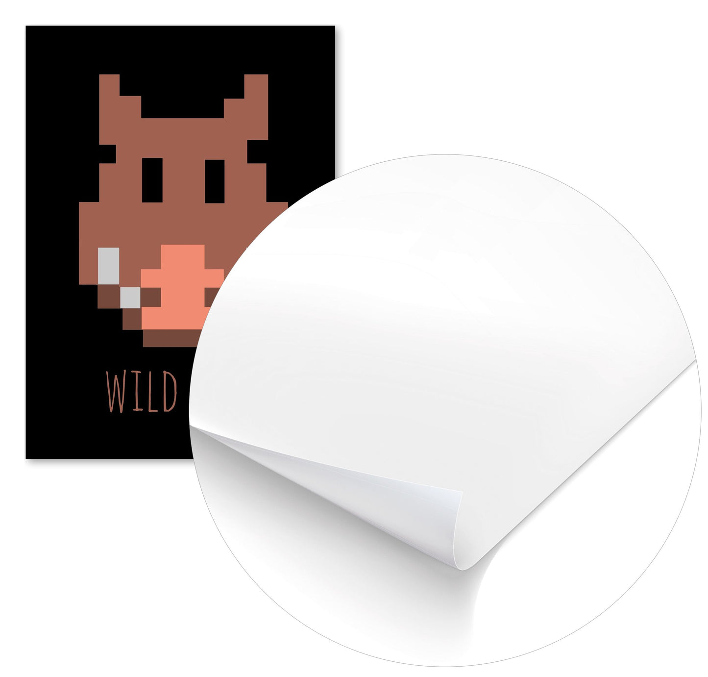 wild boar - @msheltyan