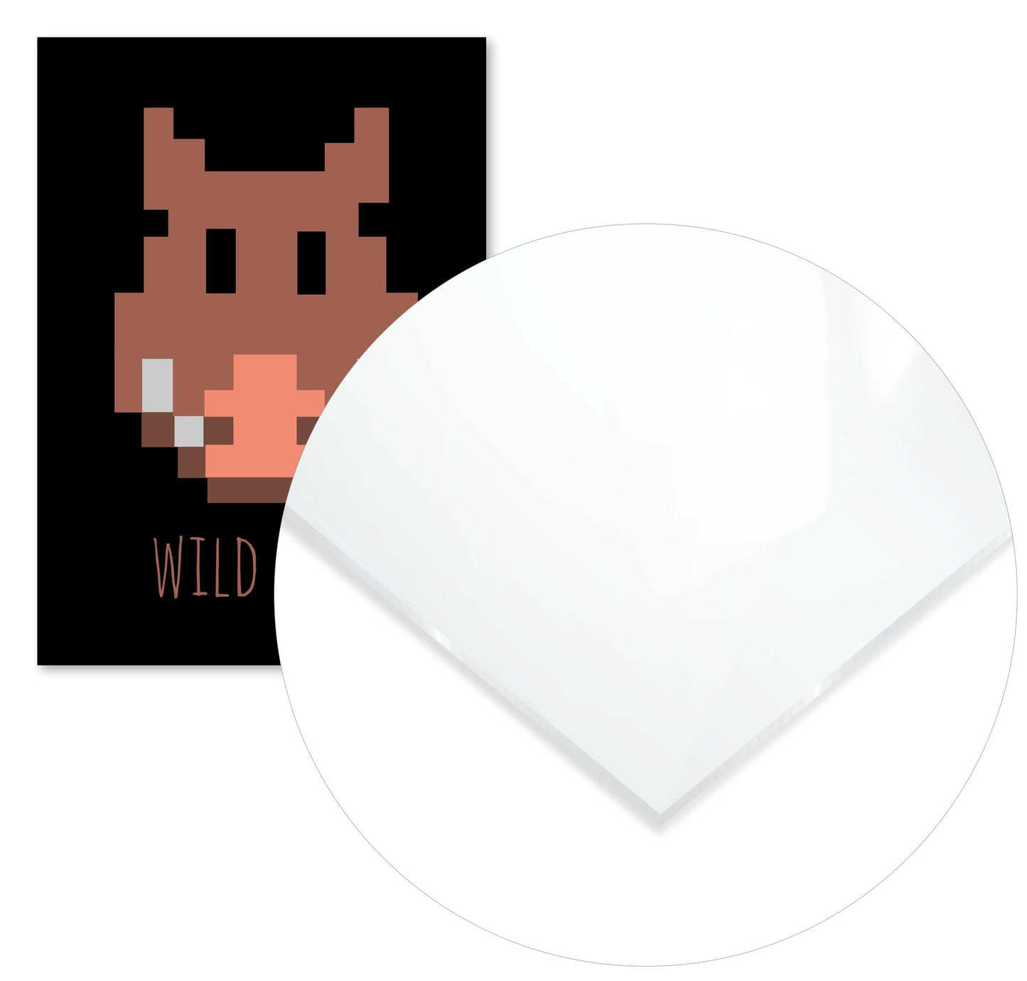 wild boar - @msheltyan